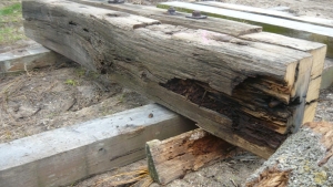 Termite damage to beams
