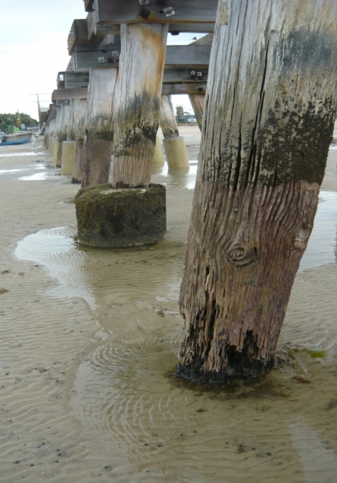 Long Jetty - Pile Repair