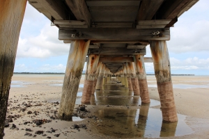 Long Jetty - Site Eight