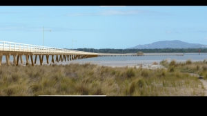 Long jetty general view v2