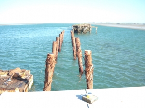 Long Jetty - Piles